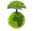 la terre, un arbre, l'eau : la vie